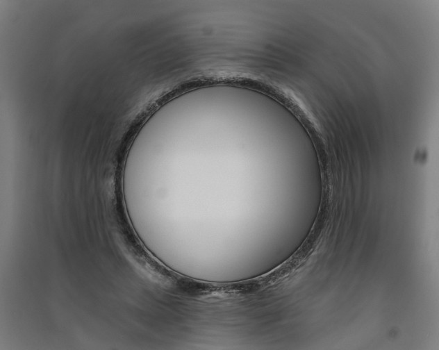 X0000091580447200708201017