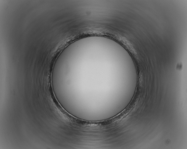 X0000091580449200708201017
