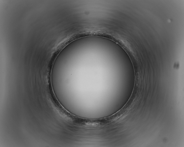 X0000091580450200708201017