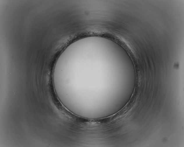 X0000091580451200708201017
