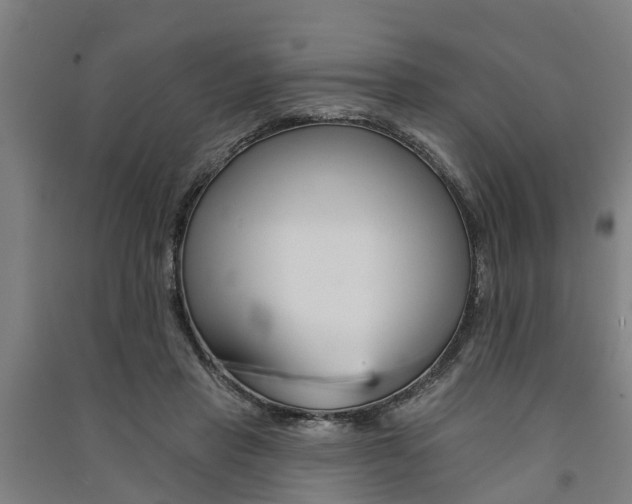 X0000091580453200708201017