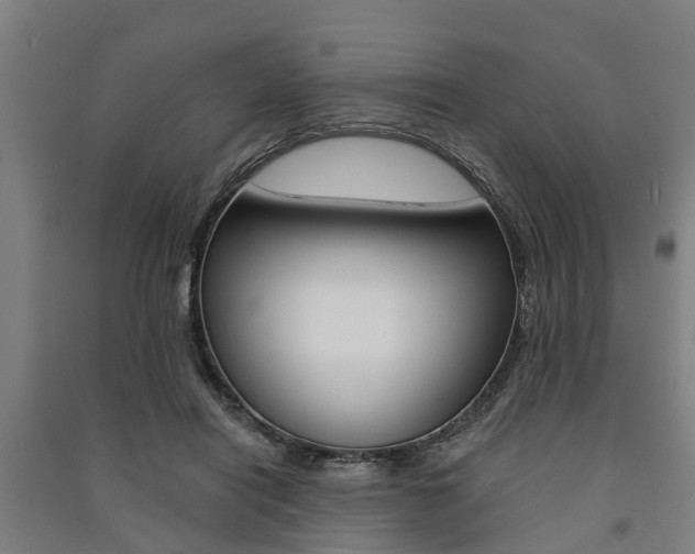X0000091580454200708201017