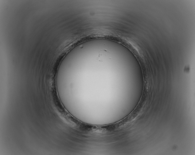 X0000091580455200708201017