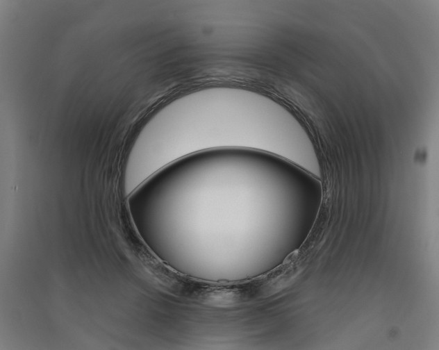 X0000091580456200708201017