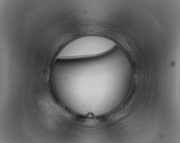 X0000091580458200708201017