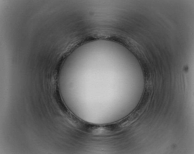 X0000091580460200708201017