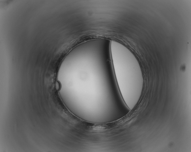 X0000091580462200708201017