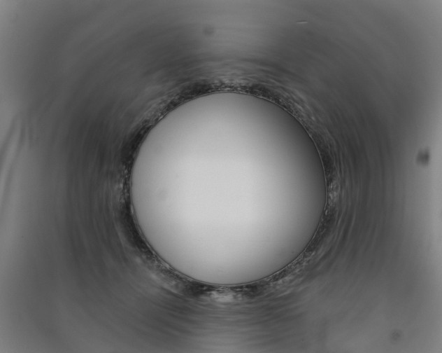 X0000091580464200708201017