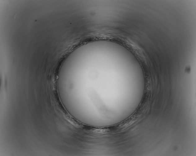 X0000091580465200708201017