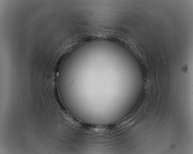 X0000091580466200708201017