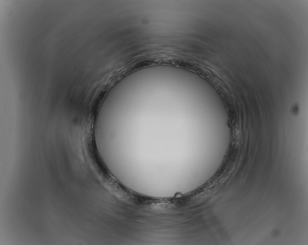 X0000091580468200708201017