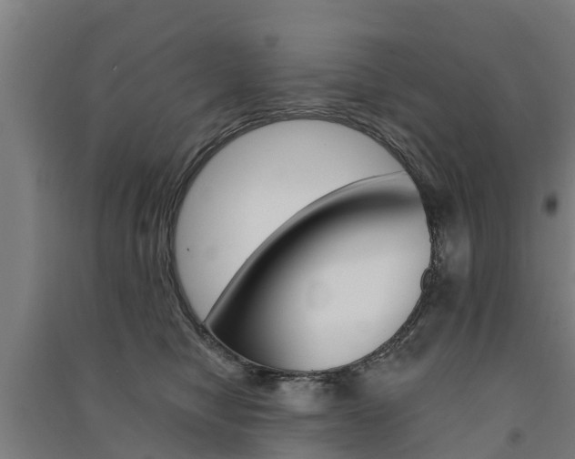 X0000091580470200708201017