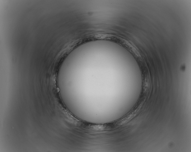 X0000091580473200708201017