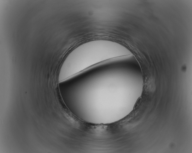X0000091580474200708201017