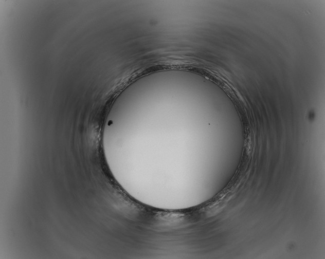 X0000091580476200708201017