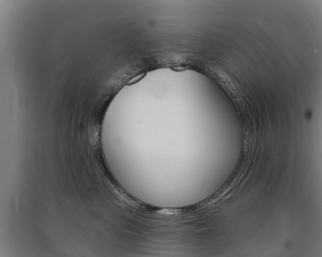 X0000091580477200708201017