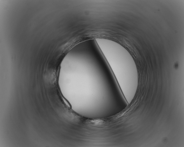 X0000091580478200708201017