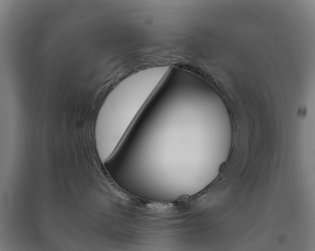 X0000091580480200708201017