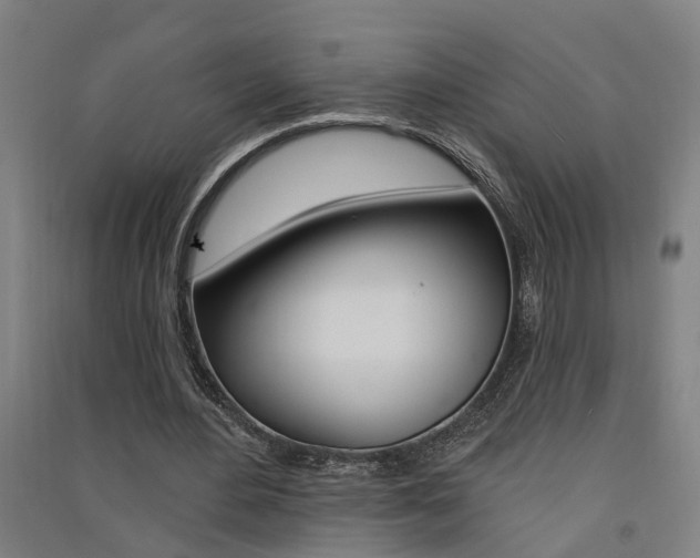 X0000091580484200708201017