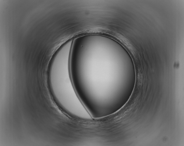 X0000091580485200708201017