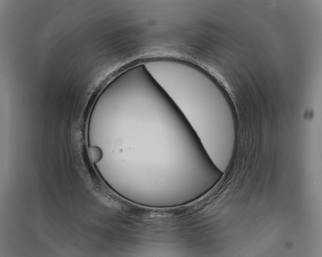 X0000091580487200708201017