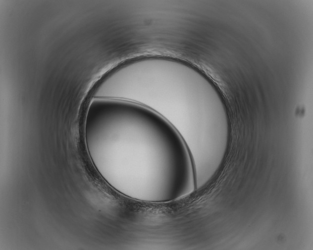 X0000091580488200708201017