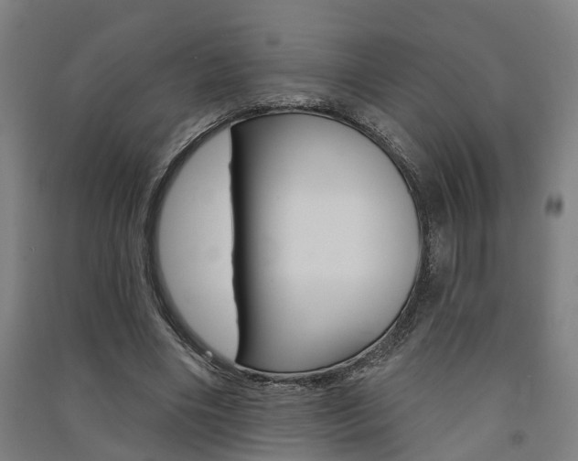 X0000091580490200708201017