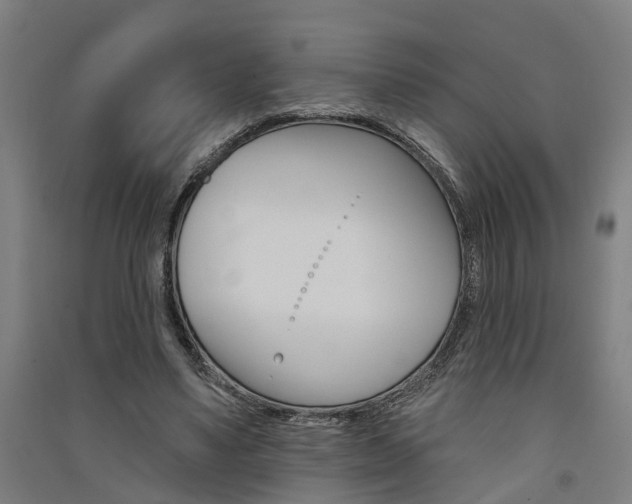 X0000091580491200708201017
