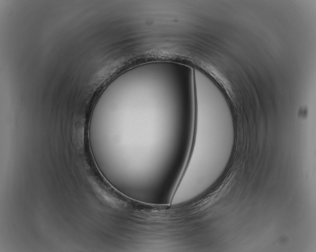 X0000091580493200708201017