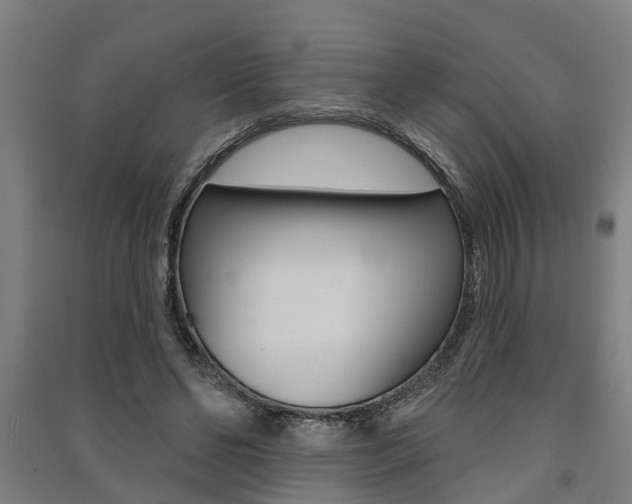 X0000091580494200708201017