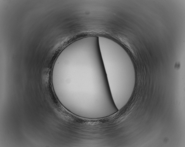 X0000091580495200708201017