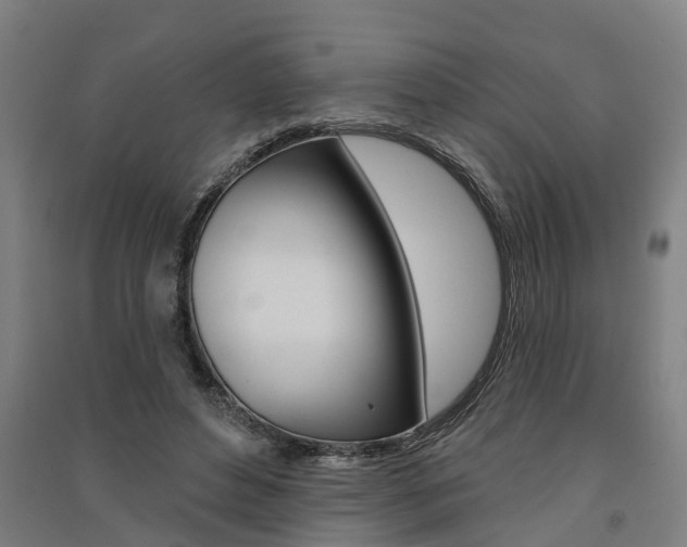 X0000091580496200708201017