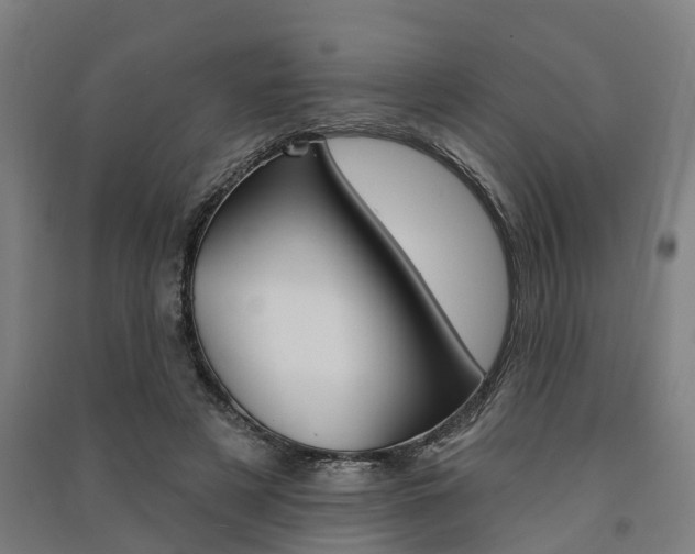X0000091580497200708201017