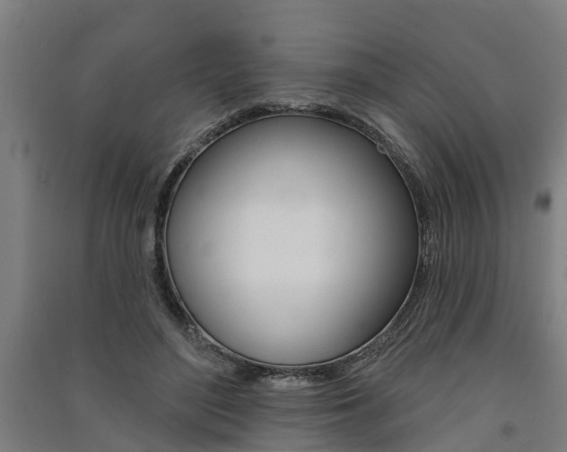X0000091580500200708201017