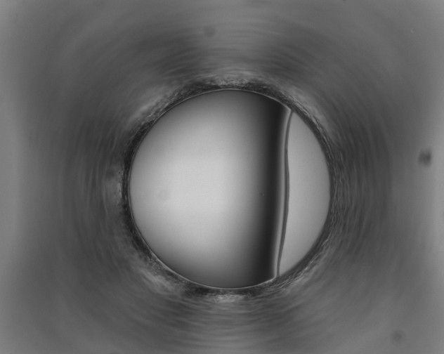 X0000091580501200708201016