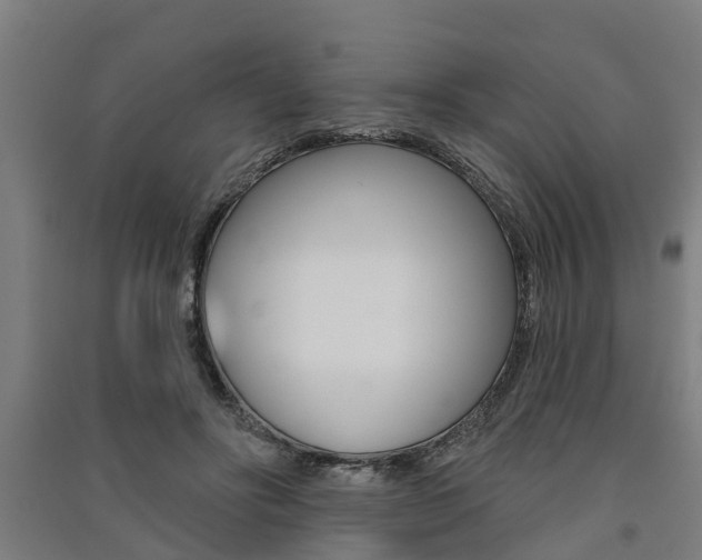 X0000091580502200708201016