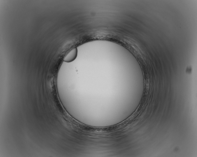 X0000091580503200708201016