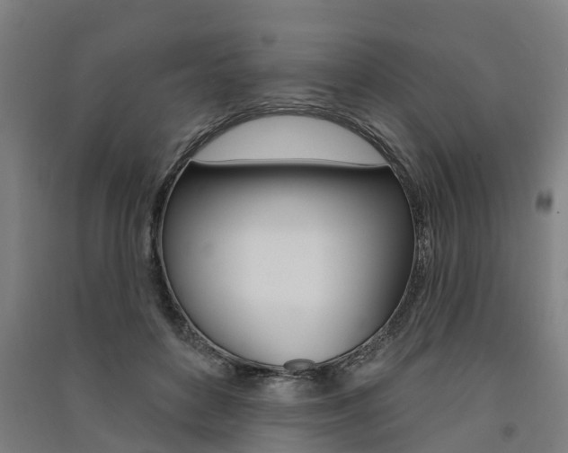 X0000091580504200708201016