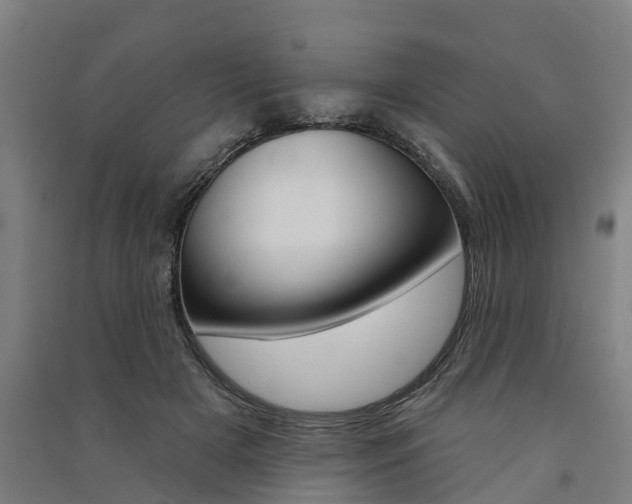 X0000091580505200708201016