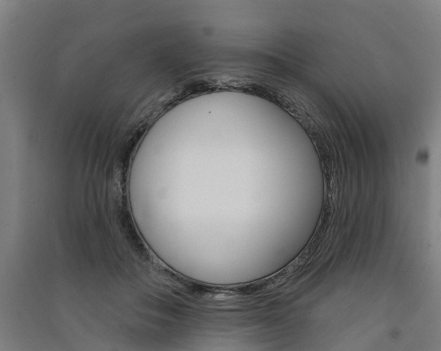 X0000091580506200708201016