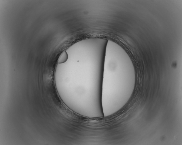 X0000091580507200708201016