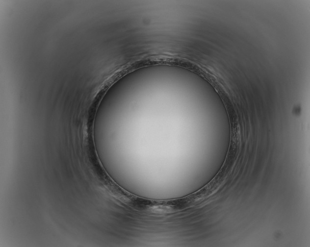 X0000091580508200708201016