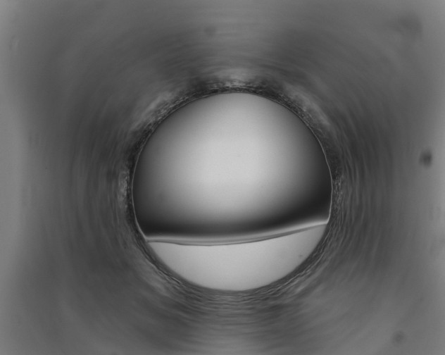X0000091580509200708201016
