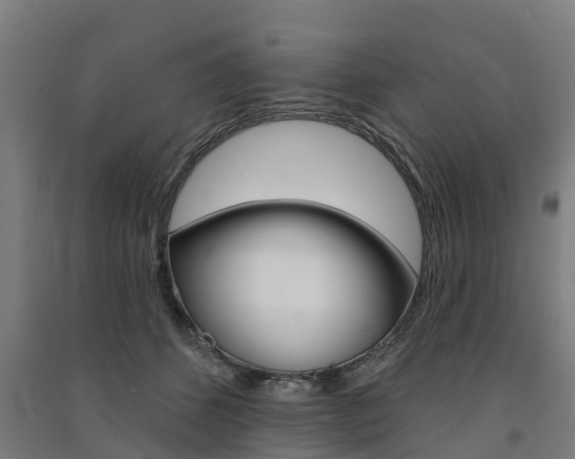 X0000091580512200708201016
