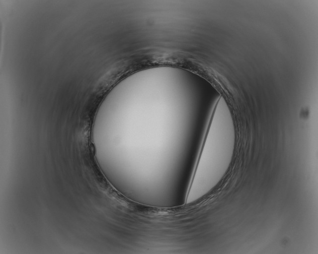 X0000091580513200708201016
