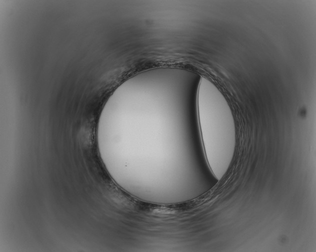 X0000091580515200708201016