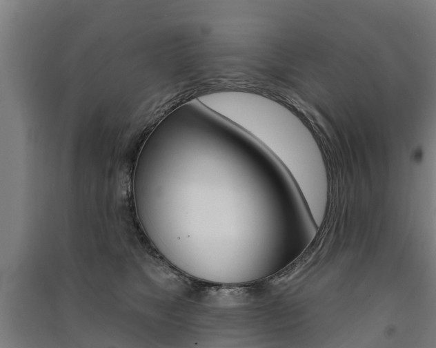 X0000091580517200708201016