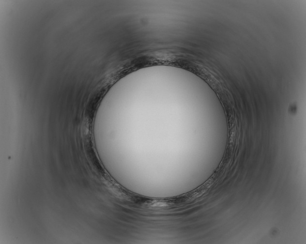 X0000091580518200708201016