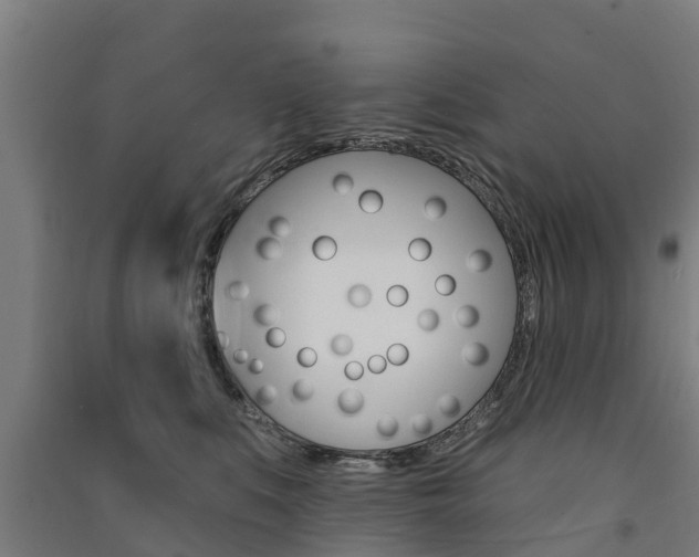 X0000091580519200708201016