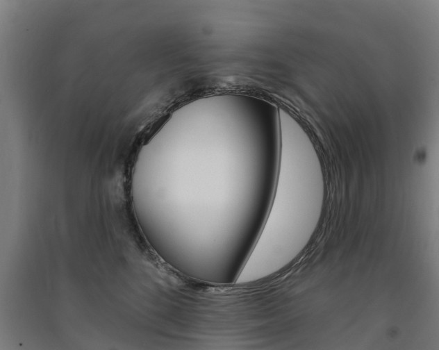 X0000091580520200708201016